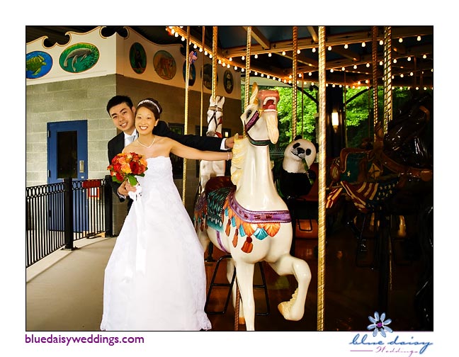 Staten Island carousel wedding photography