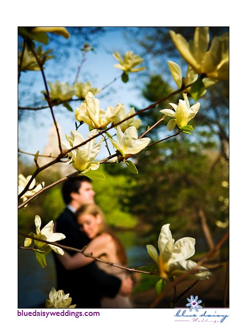 Central Park spring engagement portrait