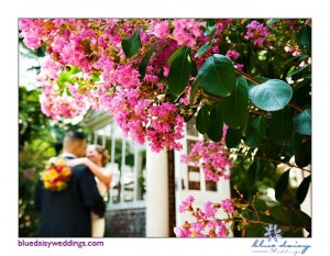 Planting Fields Arboretum after wedding portraits in Oyster Bay, New York