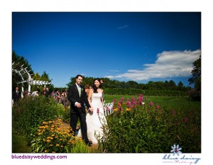 summer vineyard wedding in North Shore Wine Country, New York