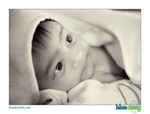 black and white newborn baby girl portraits