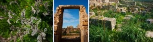 Volubilis Morocco photographer, Roman ruins in Morocco