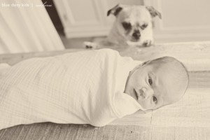 nyc newborn baby girl with dog