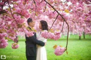cherry blossom engagement portraits NYC