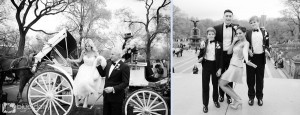 romantic Central Park horse drawn carriage rides