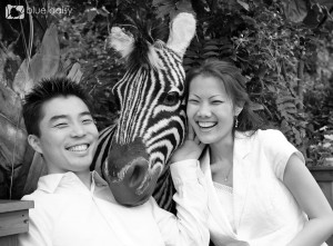 love and laughter and a zebra