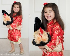 Chinese new year portrait with rooster