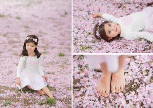 toddler walking bare foot on cherry blossom petals
