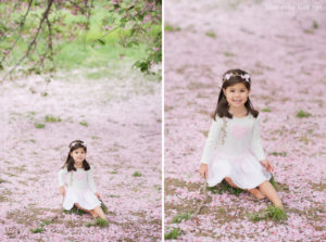 springtime cherry blossom portrait toddler girl